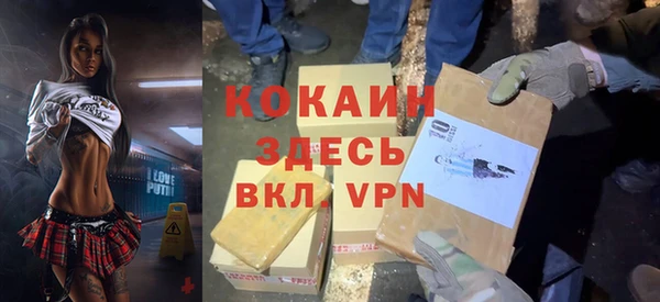 индика Коряжма