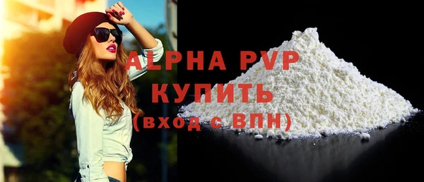 сатива Корсаков