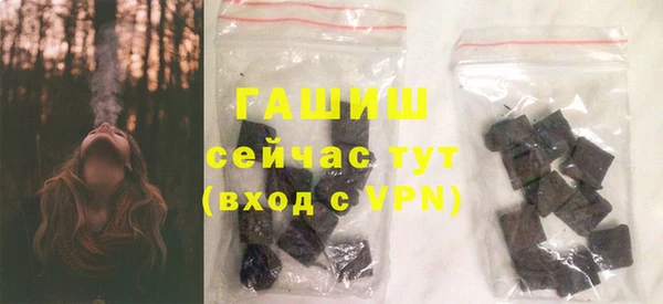 индика Коряжма