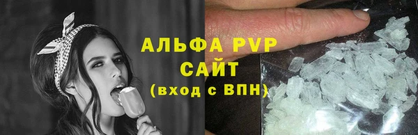 индика Коряжма