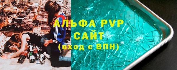 индика Коряжма