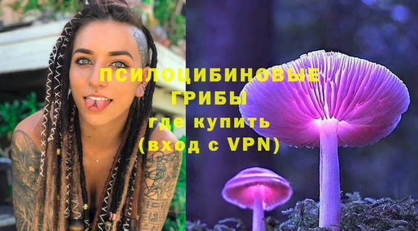 индика Коряжма