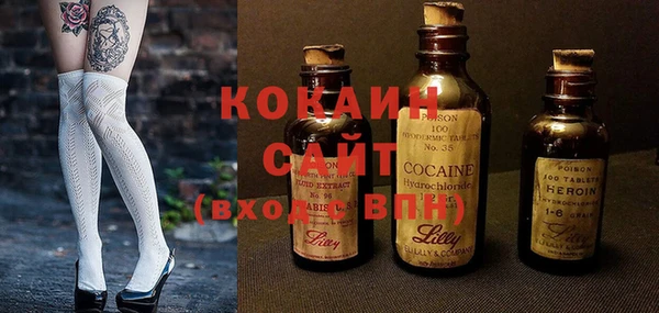 индика Коряжма