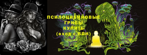 прущая мука Краснослободск
