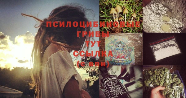 прущая мука Краснослободск