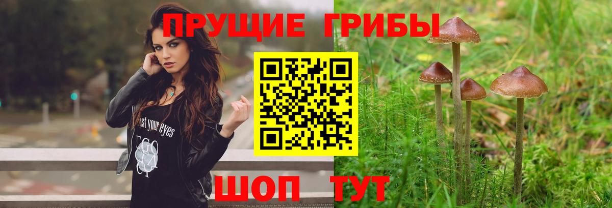Балашиха  Галлюциногенные грибы прущие грибы  Вход с VPN 