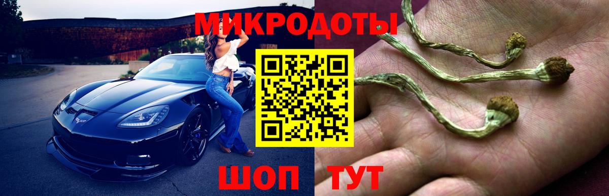 Галлюциногенные грибы Magic Shrooms  Галлюциногенные грибы прущие грибы  купить закладку  Балашиха 