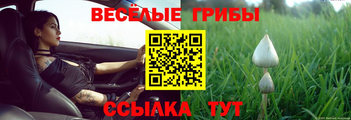 Псилоцибиновые грибы мицелий Балашиха