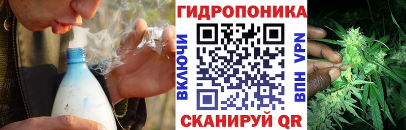 Шишки марихуана OG Kush Балашиха